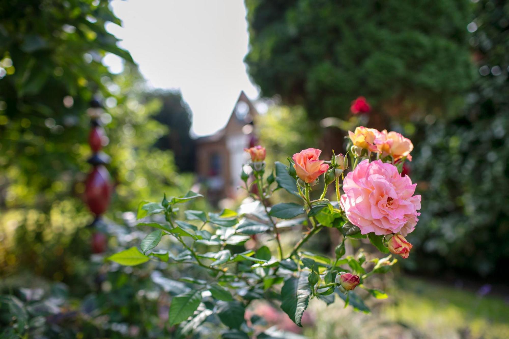 Ferienhaus Jasmin Neuruppin Buitenkant foto